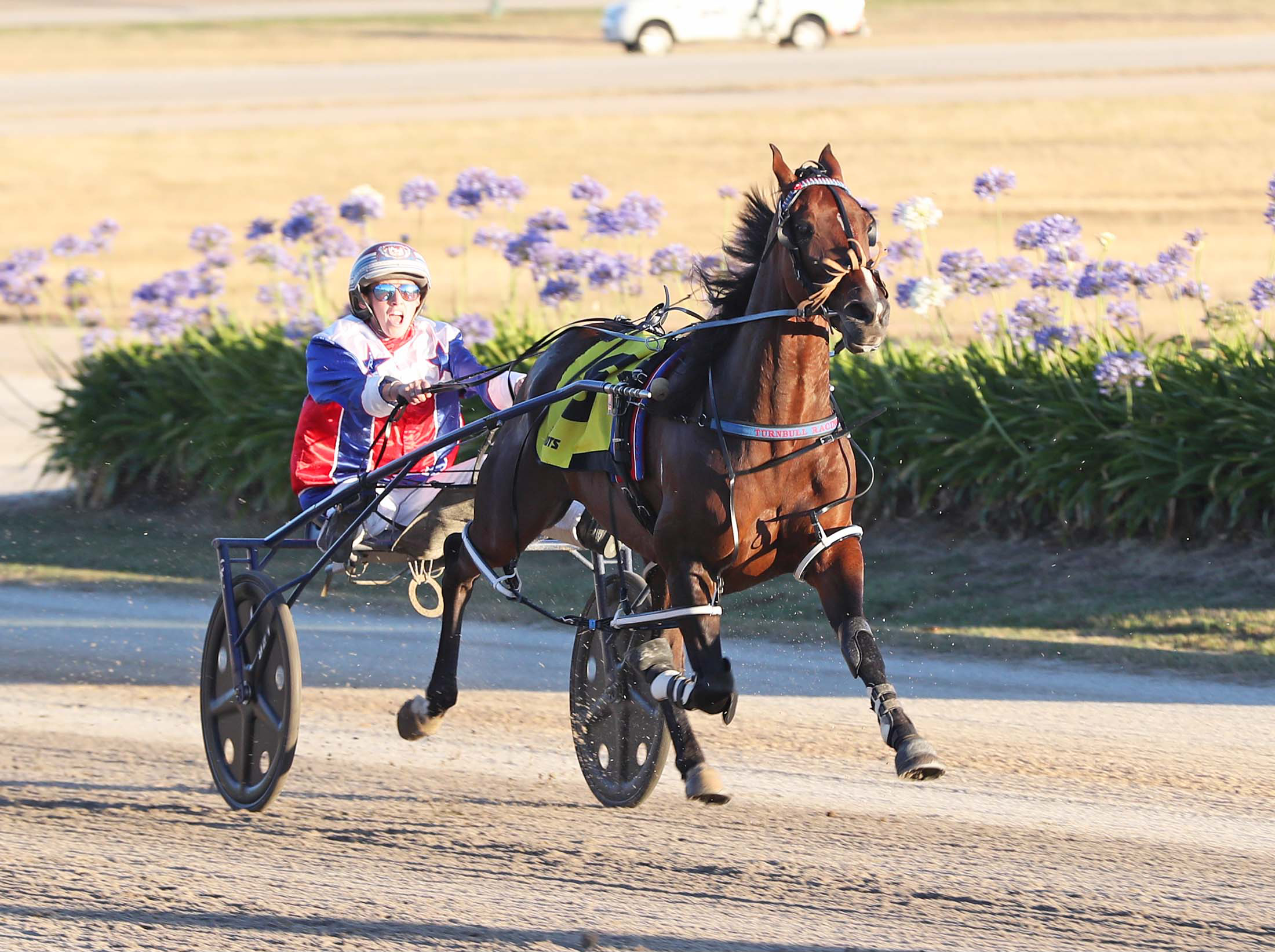Qld campaign Mixed fortunes for Vics Harness Racing Victoria